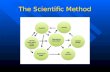 The Scientific Method Hypothesis An informed guess that tries to explain how or why an event occurs. An informed guess that tries to explain how or why.