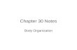 Chapter 30 Notes Body Organization. Body has 4 levels of Structural Organization Cell Tissue Organ Organ System.