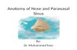 Anatomy of Nose and Paranasal Sinus By: Dr. Mohammed Faez.