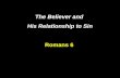 The Believer and His Relationship to Sin Romans 6.