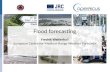 Flood forecasting Fredrik Wetterhall European Centre for Medium-Range Weather Forecasts.