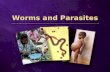 Worms and Parasites. Parasites Worms How does a person get worms?