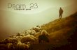 The LORD is my Shepherd, I shall not be in want He makes me lie down in green pastures.
