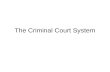 The Criminal Court System. The Provincial Court System Consists of the provincial courts and the superior courts of the province. The provincial courts.