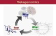 Metagenomics. What is metagenomics Cloning genes from the environment, screening for function 16S sequencing Random community genomics Eukaryotic metagenomics.