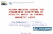 PLASMA HEATING DURING THE PARAMETRIC EXCITATION OF ACOUSTIC WAVES IN CORONAL MAGNETIC LOOPS K.G.Kislyakova 1,2, V.V.Zaitsev 2 1 Lobachevsky State University.