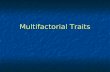 Multifactorial Traits. Nomenclature Mendelian trait- trait caused by alleles on ______________ Mendelian trait- trait caused by alleles on ______________.