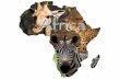LANDFORMS AND RESOURCES Chapter 18, Section 1 A Vast Plateau Present day Africa moved very little from Pangea – Most of Africa is one big plateau “Plateau.