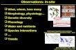 What, where, how many  Morphology, physiology…  Genetic diversity  Phenology  Water and nutrients  Species interactions  …  Trends Observations: