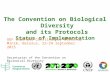 The Convention on Biological Diversity and its Protocols Status of Implementation GEF Expanded Constituency Workshop Minsk, Belarus, 22-24 September 2015.