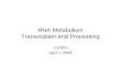 RNA Metabolism Transcription and Processing CH353 April 1, 2008.