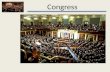 Congress. Big Picture: Representative Democracy Congress Congress = the Legislative Branch What does Congress do?