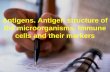 Antigens. Antigen structure of the microorganisms. Immune cells and their markers.