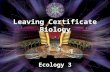 Ecology 3 Leaving Certificate Biology                € 100 € 200 € 300 € 500 € 2,000 € 1,000 € 4,000 € 8,000 € 16,000 € 32,000 € 64,000.