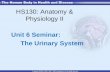 HS130: Anatomy & Physiology II Unit 6 Seminar: The Urinary System.