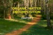 ORGANIC MATTER DECOMPOSITION CHAPTER 6. OBJECTIVES Process of organic matter decomposition Factors affecting organic matter decomposition Relate the activities.