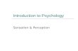 Introduction to Psychology Sensation & Perception.