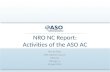 NRO NC Report: Activities of the ASO AC Ron da Silva ASO Address Council ARIN 33 Chicago, IL 15 April 2014.