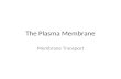 The Plasma Membrane Membrane Transport. Figure 5.1.