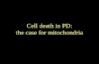 Cell death in PD: the case for mitochondria. Background defects in the capacity of the ubiquitin-proteasome system (UPS) to degrade unwanted proteins.