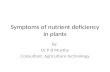 Symptoms of nutrient deficiency in plants By Dr P B Murthy Consultant: Agriculture technology.