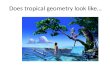 Does tropical geometry look like…. No, it looks like …