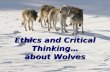 Ethics and Critical Thinking… about Wolves. -Argument Analysis- Basic Argument Form: P1. Premise (often relies on science) P2. Premise (ethical assertion)