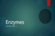 Enzymes CHAPTER 6 PART 3. What are enzymes?  Enzymes are biological catalysts.  A catalyst is something that speeds up a reaction without affecting.