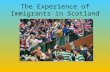 The Experience of Immigrants in Scotland. What you need to know Describe the living conditions and jobs of immigrants Explain why there were tensions.