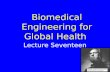Lecture Seventeen Biomedical Engineering for Global Health.