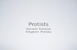 Protists Domain: Eukarya Kingdom: Protista. Protists are: Single-celled (unicellular) or simple multicellular, microscopic, eukaryotic (with a nucleus)
