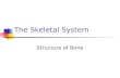 The Skeletal System Structure of Bone. Skeletal System The entire framework of bone and their associated cartilages Each individual bone is considered.