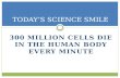 300 MILLION CELLS DIE IN THE HUMAN BODY EVERY MINUTE TODAY’S SCIENCE SMILE.