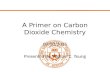 A Primer on Carbon Dioxide Chemistry 09/30/2015 Presented By Michael C. Young.