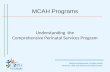 MCAH Programs Understanding the Comprehensive Perinatal Services Program California Department of Public Health Maternal, Child and Adolescent Health Division.