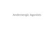 Andrenergic Agonists. Overview Adrenergic drugs stimulate the same receptors as norepinephrine and epinephrine. Drugs that stimulated the adrenergic receptors.