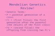 Mendelian Genetics Review! Genetic Terms: P = parental generation of a cross F1 = (first filial) the first generation after the parental (the results of.