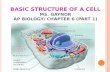 BASIC STRUCTURE OF A CELL MS. GAYNOR AP BIOLOGY/ CHAPTER 6 (PART 1)