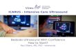 Bedside Ultrasound With Confidence How to Start? Paul Elbers, MD, PhD - Intensivist ICARUS - Intensive Care Ultrasound.