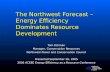 Northwest Power and Conservation Council The Northwest Forecast – Energy Efficiency Dominates Resource Development Tom Eckman Manager, Conservation Resources.