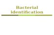 Bacterial identification. General approach for bacterial identification.