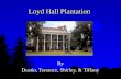 Loyd Hall Plantation By Dustin, Terrance, Shirley, & Tiffany.