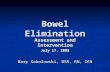 Bowel Elimination Assessment and Intervention July 17, 2008 Mary Sokolowski, BSN, RN, CEN.