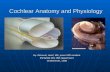 Cochlear Anatomy and Physiology By: Okhovat, Hanif, MD, Junior ENT resident ESFAHAN ORL HNS department Ordibehesht, 1388.