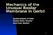 1 Mechanics of the Unusual Basilar Membrane in Gerbil Santosh Kapuria, IIT Delhi Charles Steele, Stanford Sunil Puria, Stanford.