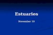Estuaries November 10. Flushing time (or residence time): time required to replace water with “new” water. Several ways to compute: Flushing time (or.