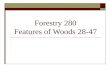 Forestry 280 Features of Woods 28-47. #28: Red Oak Quercus rubra Earlywood Pores Latewood Pores Wide, oak-type ray.