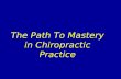 The Path To Mastery in Chiropractic Practice. Build 3 Chiropractic Practices Which Little Pig Are You?