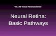 VS142 Visual Neuroscience Neural Retina: Basic Pathways.
