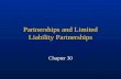 Partnerships and Limited Liability Partnerships Chapter 30.